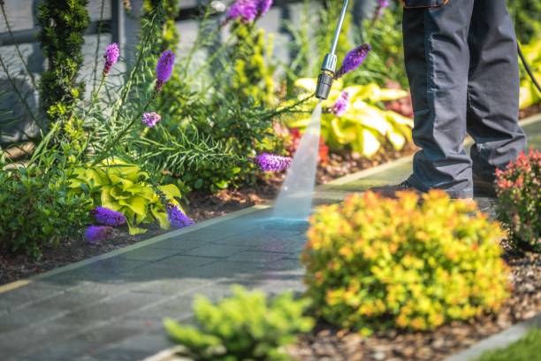 Best Restaurant Pressure Washing  in Pacheco, CA